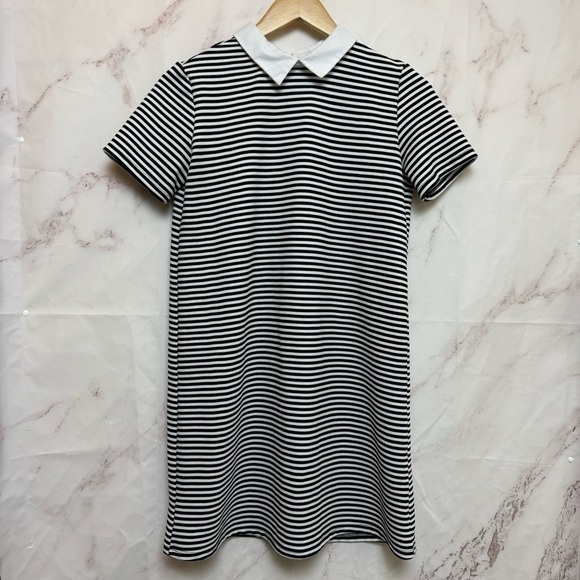 Zara Trafaluc Collared Striped Shift Dress - D26 - Picture 1 of 5